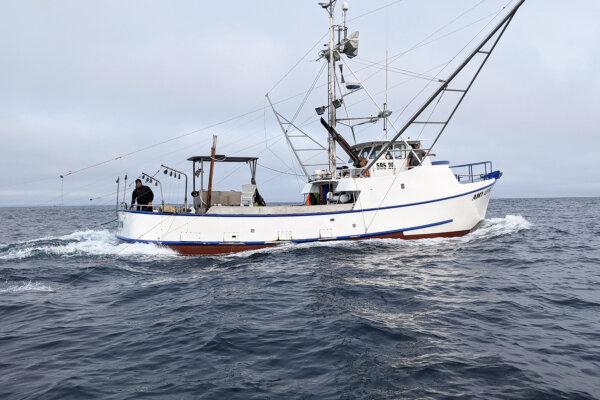 An albacore fishing boat is seen in the Pacific Ocean on Aug. 14, 2021. (Courtesy of Western Fishboat Owners Association)
