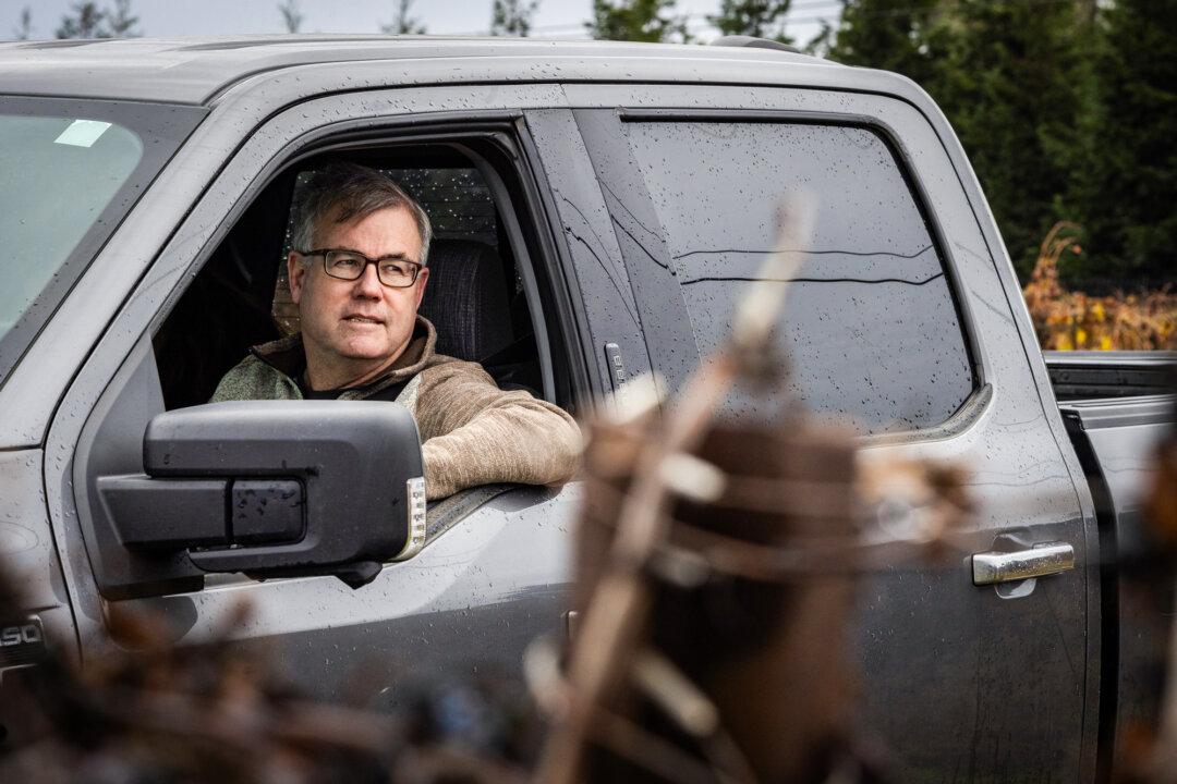 Stuart Spencer, executive director of the Lodi Winegrape Commission, looks over a spoiled wine vineyard in Lodi, Calif., on Dec. 13, 2024. (John Fredricks/The Epoch Times)