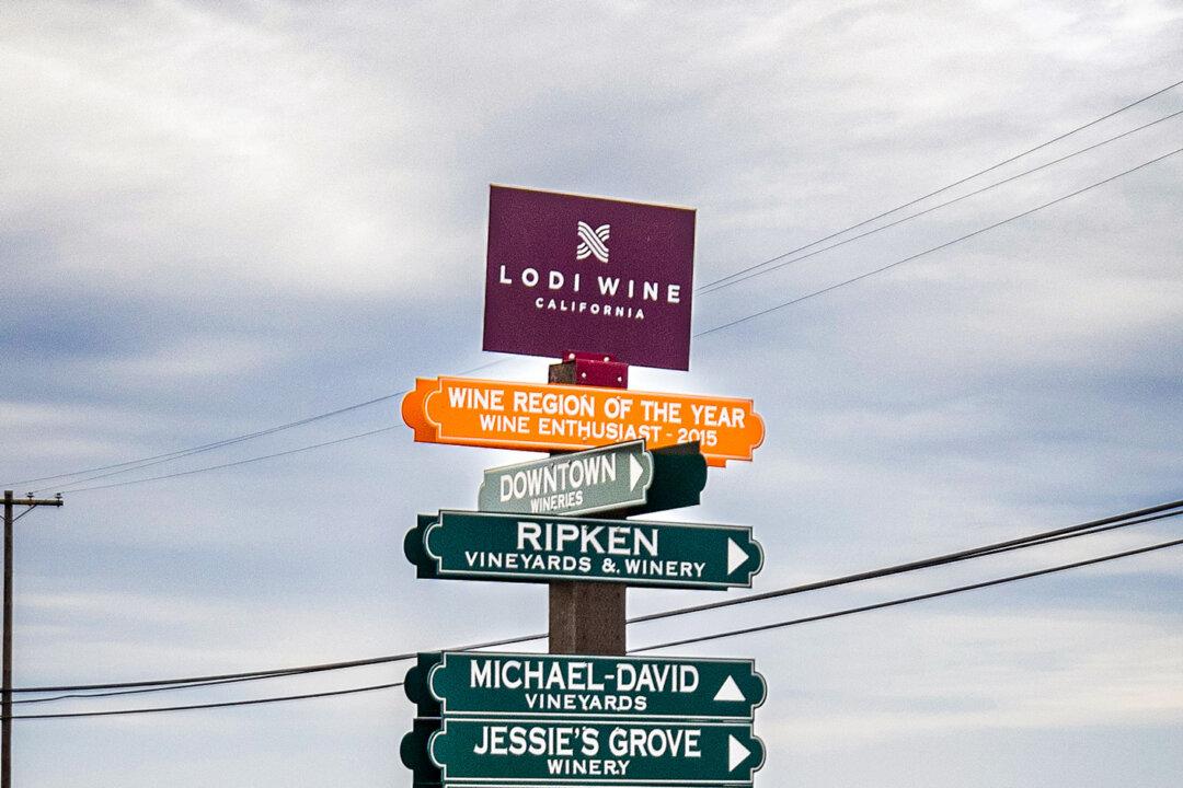A sign directs people to wine vineyards in Lodi, Calif., on Dec. 13, 2024. (John Fredricks/The Epoch Times)