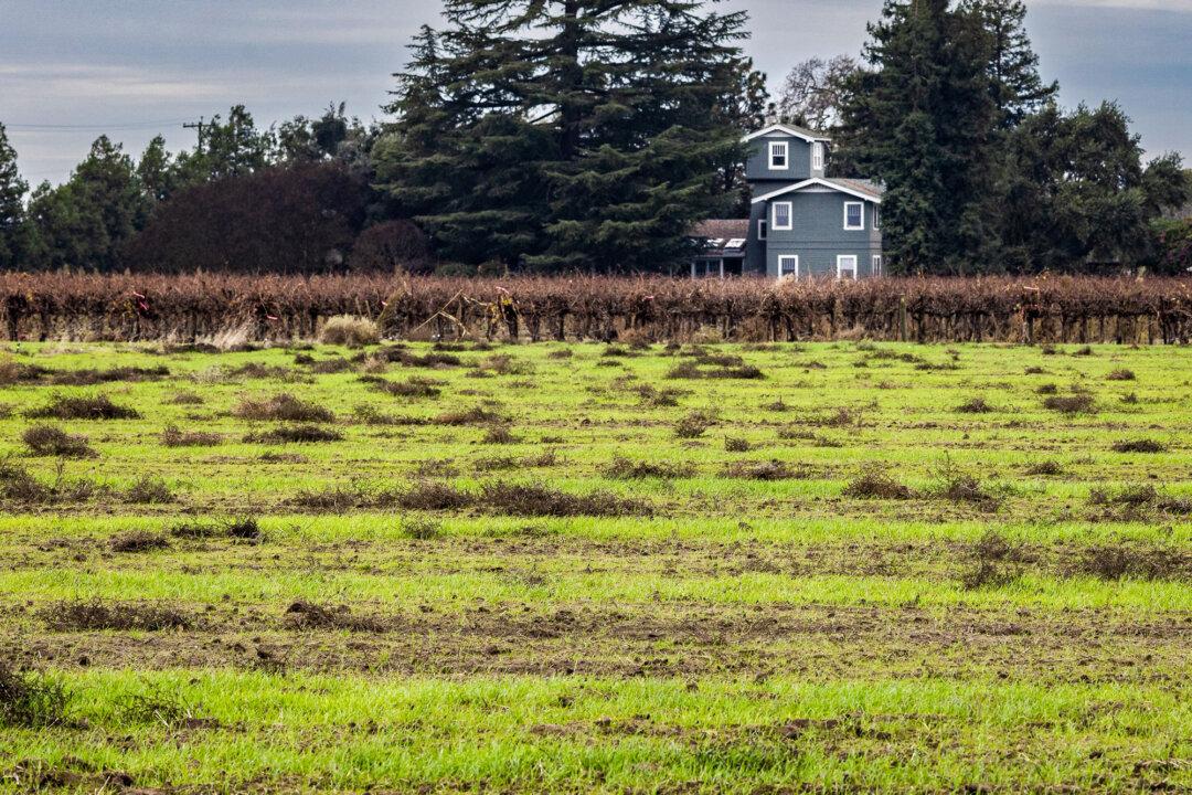 A farmhouse sits next to a cleared parcel of land in Lodi, Calif., on Dec. 13, 2024. (John Fredricks/The Epoch Times)