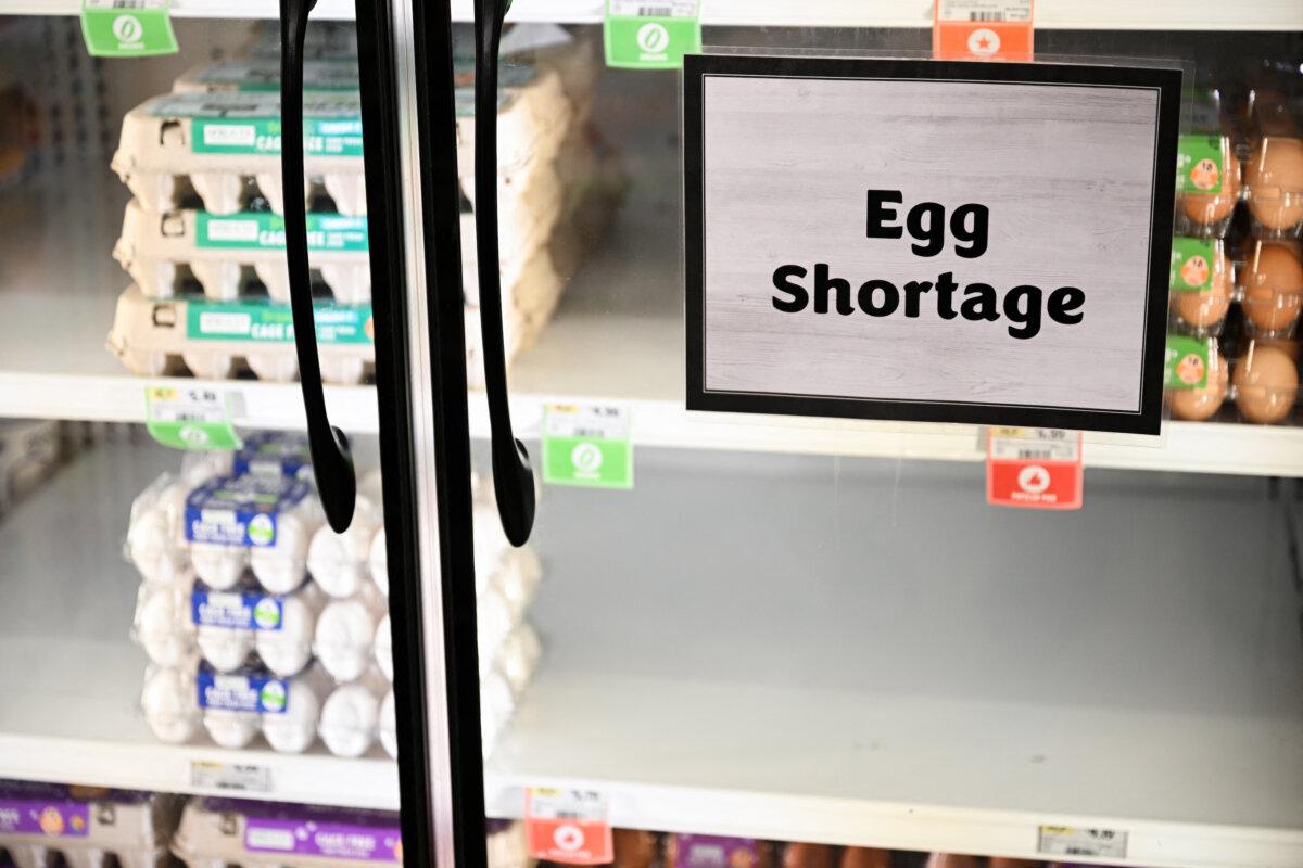 Egg shortage signage is displayed on partially empty shelves at a Sprouts Farmers Market grocery store in Lawndale, Calif., on Jan. 2, 2025. (Patrick T. Fallon/AFP via Getty Images)