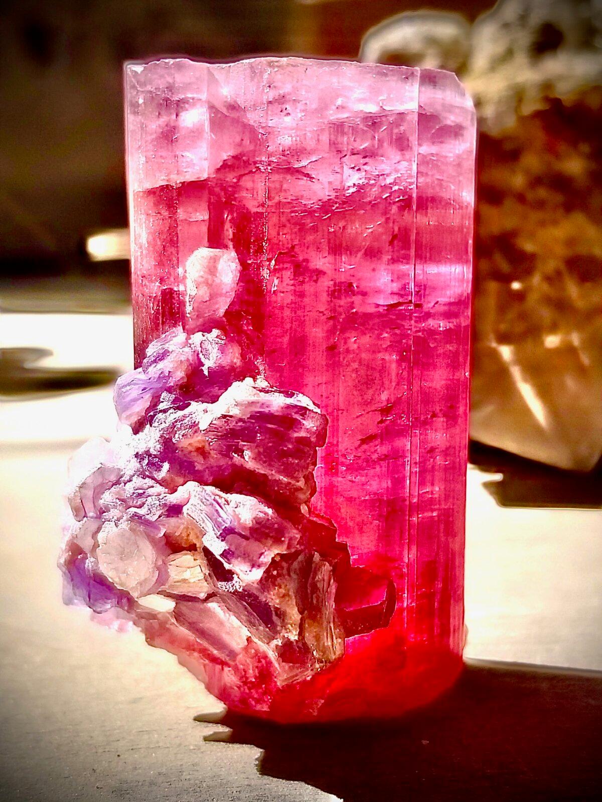 A natural rubellite tourmaline crystal with lepidolite from the Stewart Lithia Mine near Pala, Calif. (Courtesy Shannon Sheppard)