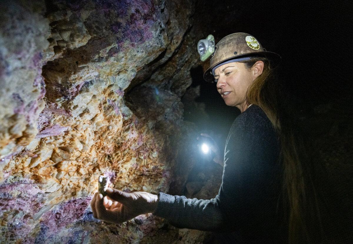 Gemologist Shannon Sheppard looks at specimen against a backdrop of the pink-and-purple-hued tunnel walls of the Stewart Mine near Pala, Calif., on Dec. 27, 2024. (John Fredricks/The Epoch Times)