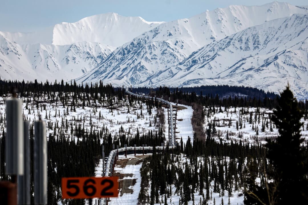 A part of the Trans Alaska Pipeline System runs through boreal forest past Alaska Range mountains near Delta Junction, Alaska, on May 5, 2023. The 800-mile-long pipeline carries oil from the North Slope in Prudhoe Bay to the port of Valdez. (Mario Tama/Getty Images)