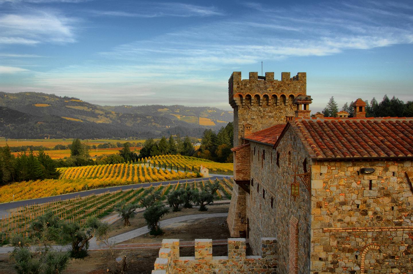 Terracotta tiles top the roof of Castello di Amorosa and coordinate with the structure’s earthen-colored stones. The view is of acres and acres of vineyards. (Castello di Amorosa)