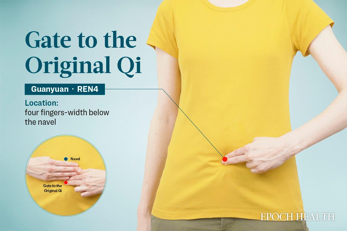 Location of the guanyuan acupoint. (The Epoch Times)