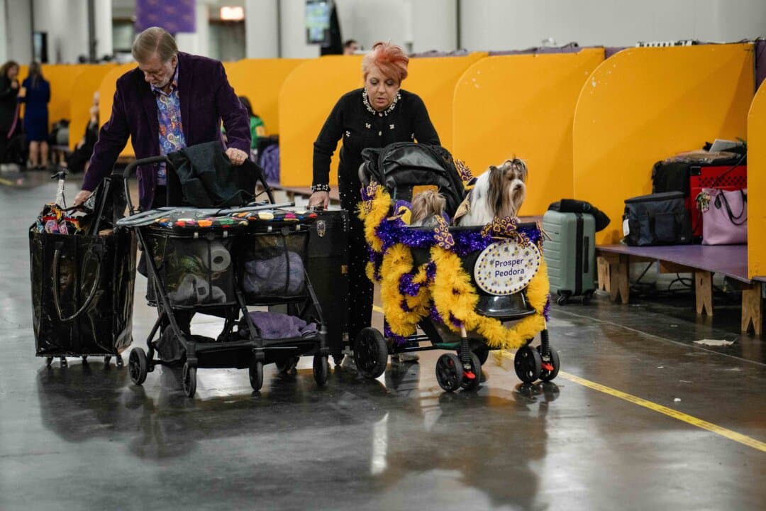 People pack after the second day of the 149th Annual Westminster Kennel Club Dog Show at Jacob K. Javits Convention Center in New York City on Feb. 10, 2025. (Samira Bouaou/The Epoch Times)