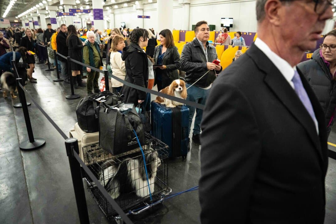 People depart with their dogs at the end of the second day of the 149th Annual Westminster Kennel Club Dog Show at Jacob K. Javits Convention Center in New York City on Feb. 10, 2025. (Samira Bouaou/The Epoch Times)