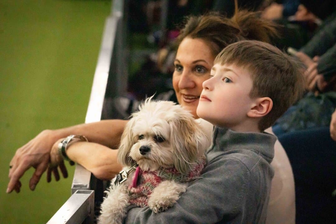 Attendees and a dog watch the agility competition at the 149th Annual Westminster Kennel Club Dog Show at Jacob K. Javits Convention Center in New York City on Feb. 8, 2025. (Samira Bouaou/The Epoch Times)