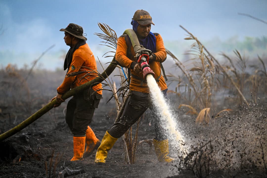 Members of the National Agency for Disaster Countermeasure work at the scene of a fire at a peatland forest converted into palm oil plantations in Meulaboh, west coast of Aceh province, Indonesia, on Feb. 15, 2025. (Chaideer Mahyuddin/AFP via Getty Images)