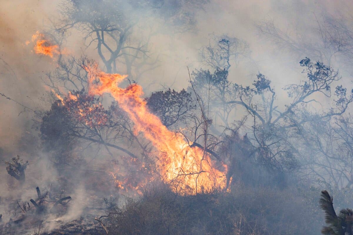 Firefighters work to extinguish the Palisades Fire burning near Los Angeles, Calif., on Jan. 8, 2025. (John Fredricks/The Epoch Times)