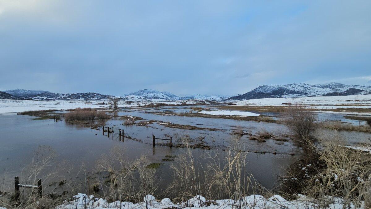 A saturated pasture in Shasta River Valley in Siskiyou County on Feb. 5, 2025. (Courtesy of Lisa Mott)