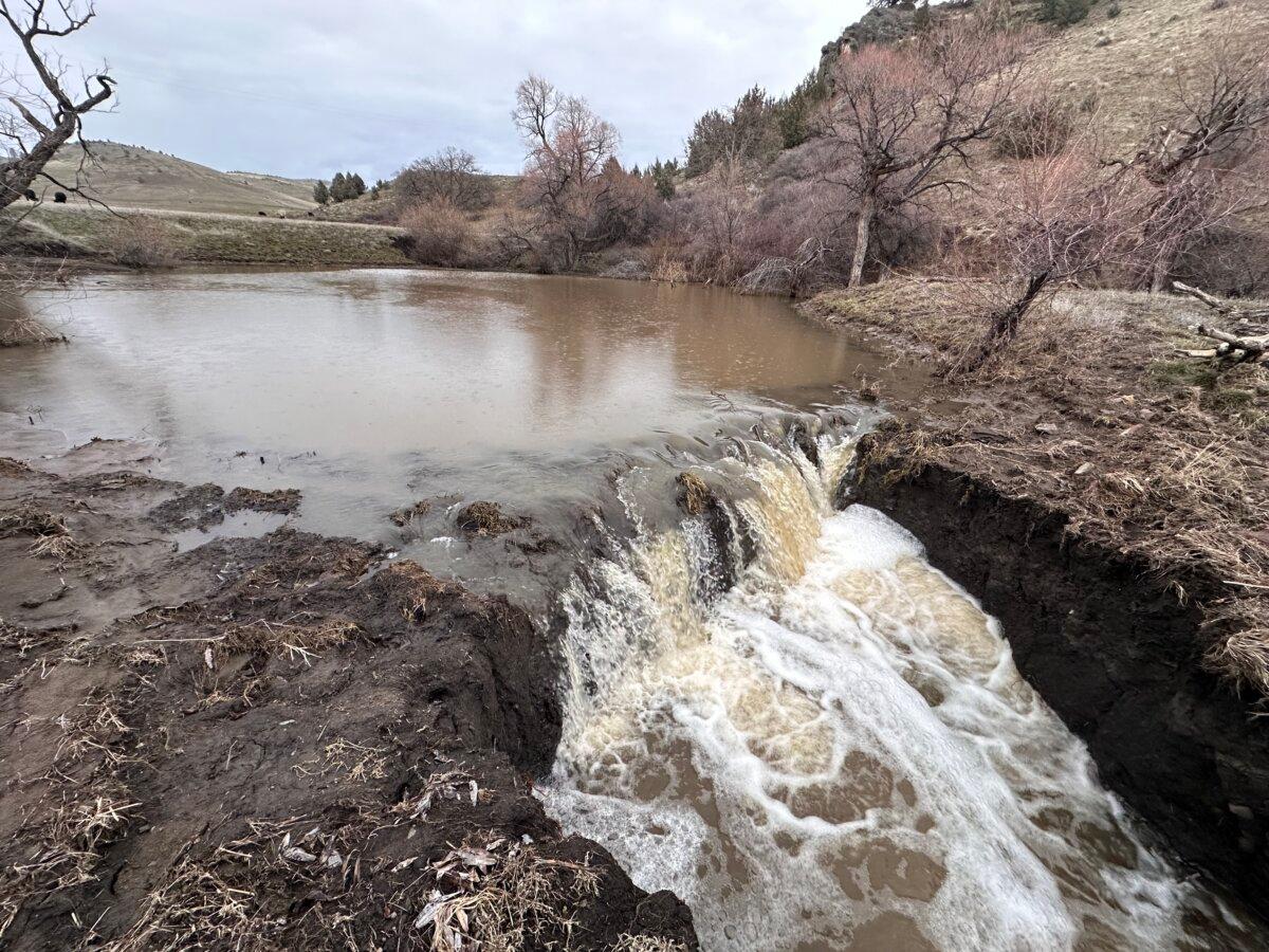 Floodwaters erode the banks of a pond at the Bacigalupis’ ranch in February 2025. (Courtesy Debbie Bacigalupi)