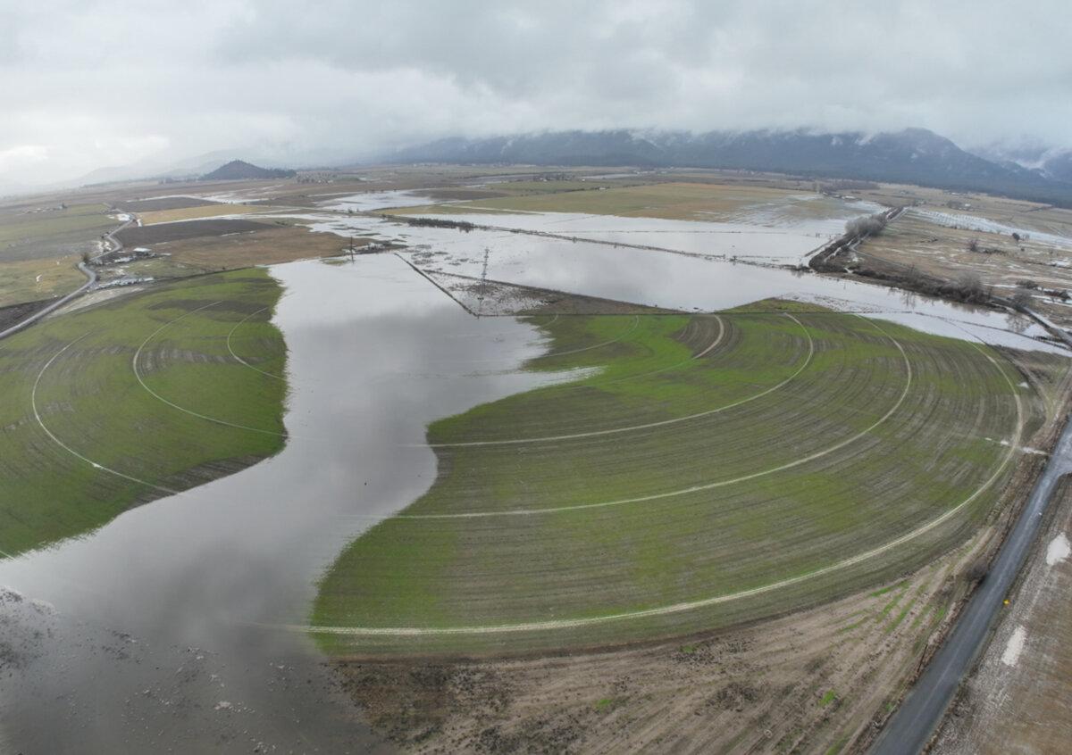 Flooded fields in Scott River Valley in Siskiyou County after heavy rains in late December 2024. (Courtesy of Mel Fechter)