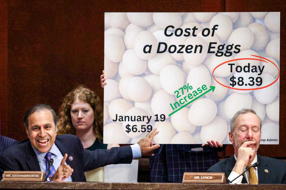 Rep. Raja Krishnamoorthi (D-Ill.) points to a poster detailing the cost of eggs during a House Oversight and Government Reform Committee hearing at the U.S. Capitol on March 5, 2025. (Kayla Bartkowski/Getty Images)
