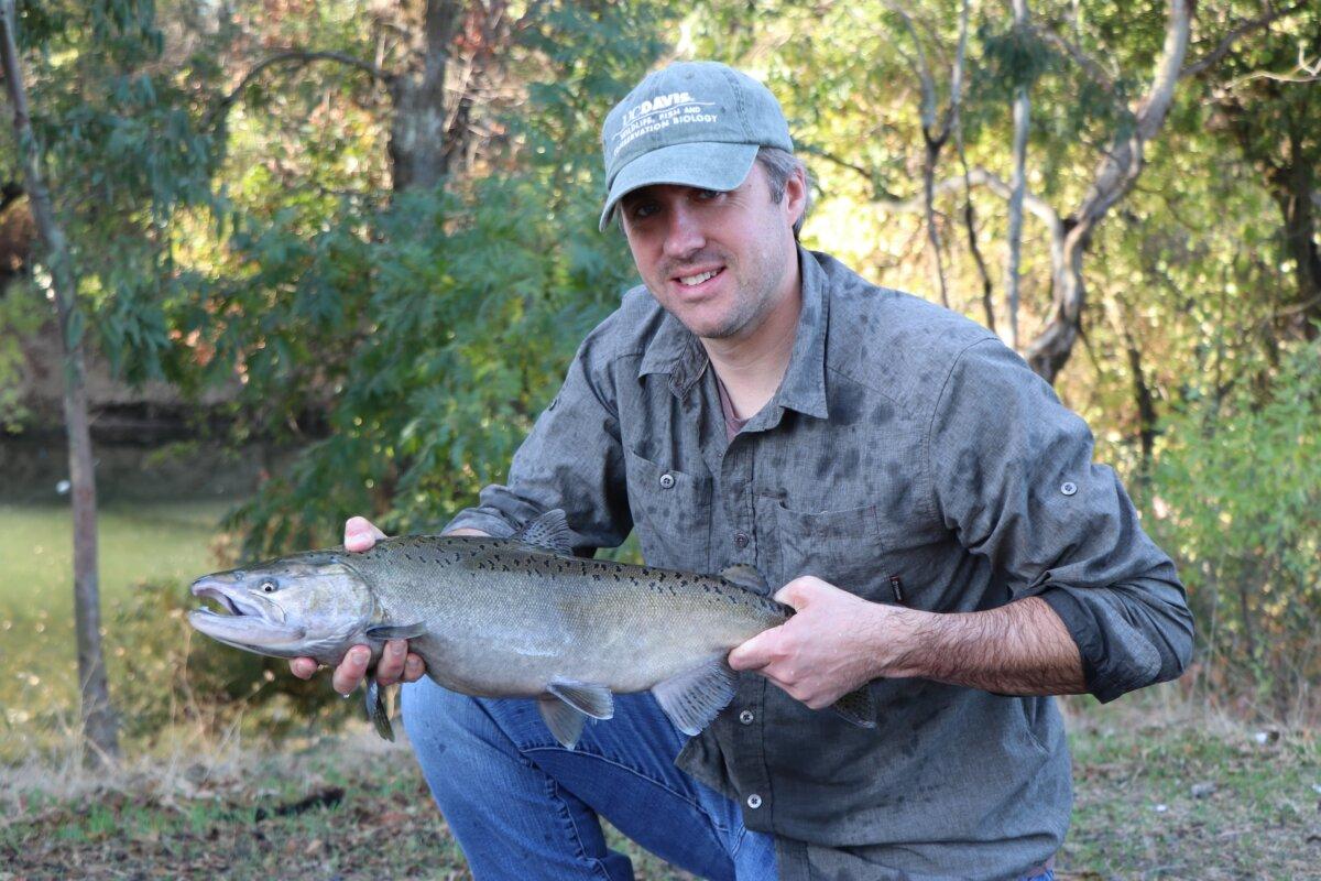 UC Davis Professor Andrew Rypel holds an adult chinook salmon that was journeying through Putah Creek in 2023. (David Ayers)