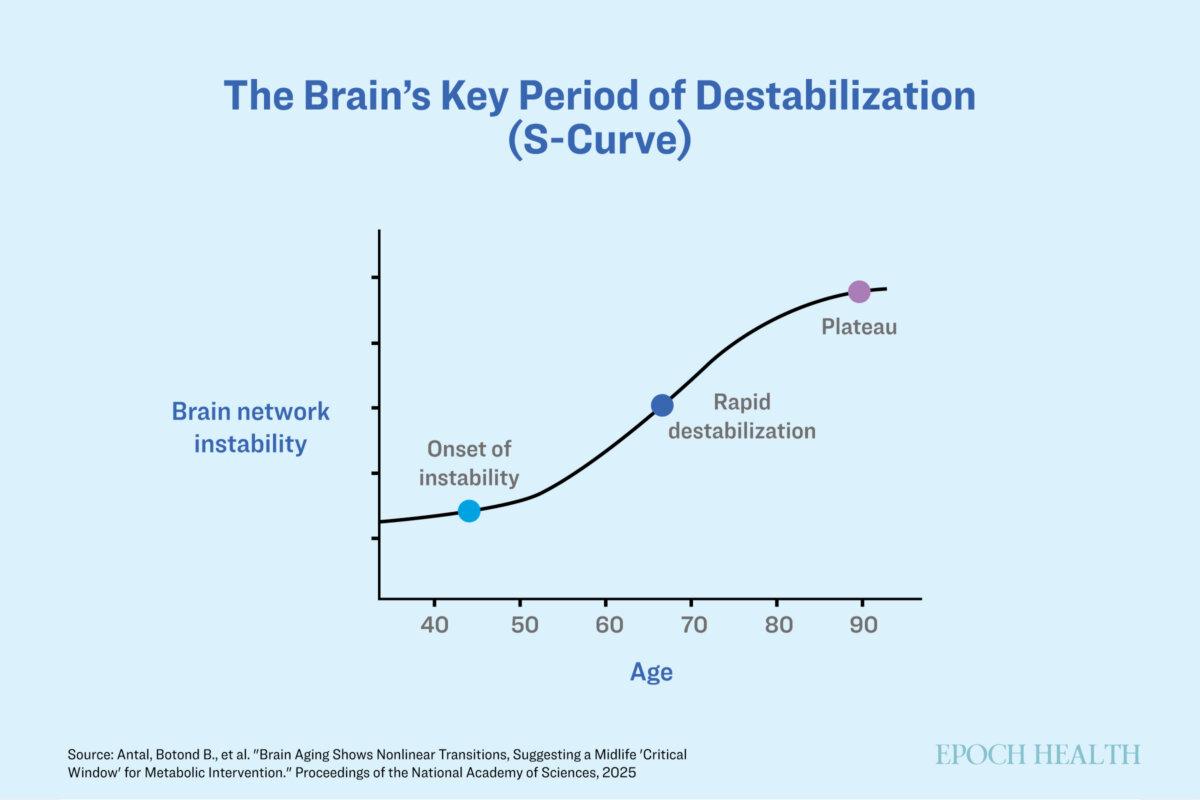 The average brain becomes more unstable over time, but metabolic interventions may help. (The Epoch Times)