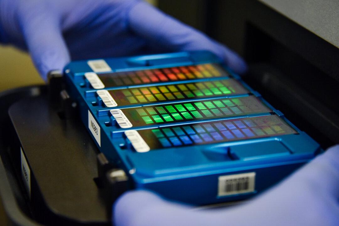 A technician places an array containing DNA information in a scanner at GeseDNA Technology in Beijing on Aug. 22, 2018. (Greg Baker/AFP via Getty Images)