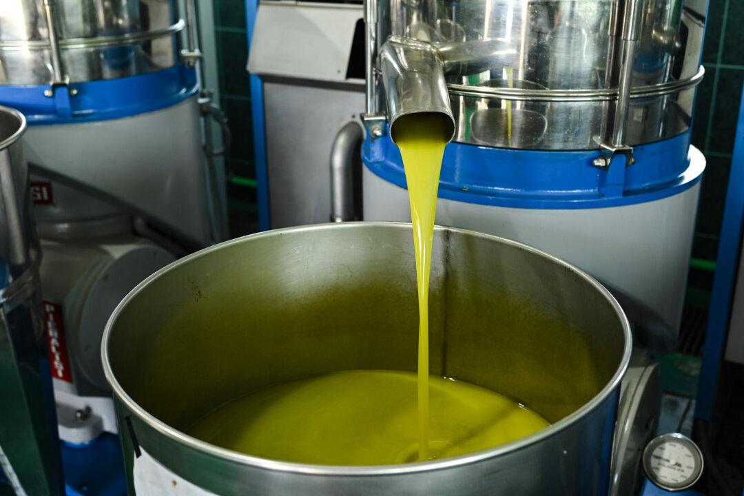 Olive oil is generally recommended as a healthy oil by experts regardless of their opinion on seed oils. (Simun Galic/Shutterstock)