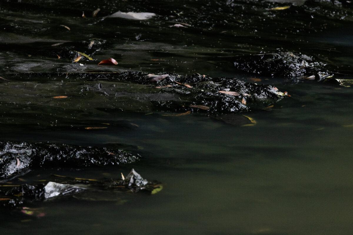 Water flows along the Tijuana River outside of San Diego, Calif., on Sept. 19, 2024. (John Fredricks/The Epoch Times)