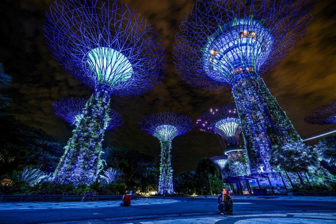 Tourists at the iconic Supertree Grove at Gardens by the Bay urban park ahead of general elections in Singapore on April 22, 2025. (Mohd Rasfan/AFP via Getty Images)