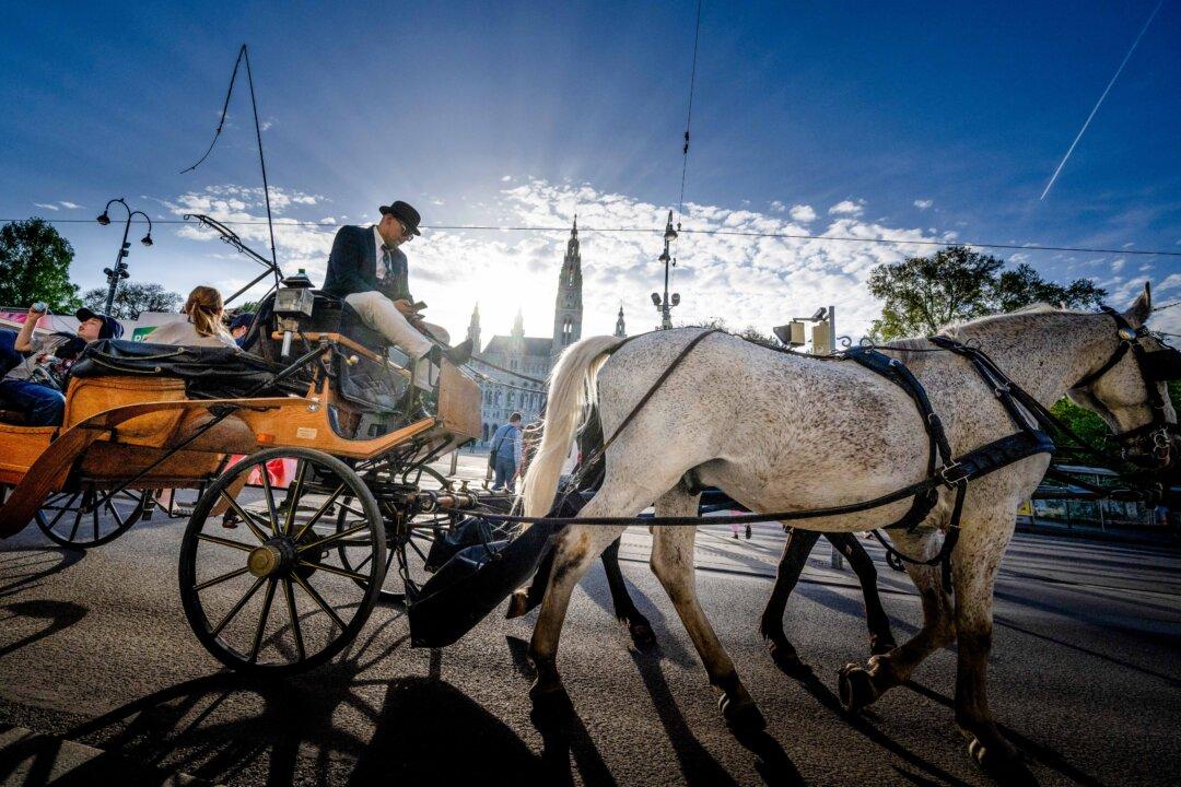 A horse drawn carriage drives tourists past Vienna's City Hall on April 22, 2025. On Sunday, Viennese are heading to the polls to elect their mayor. (Joe Klamar/AFP via Getty Images)