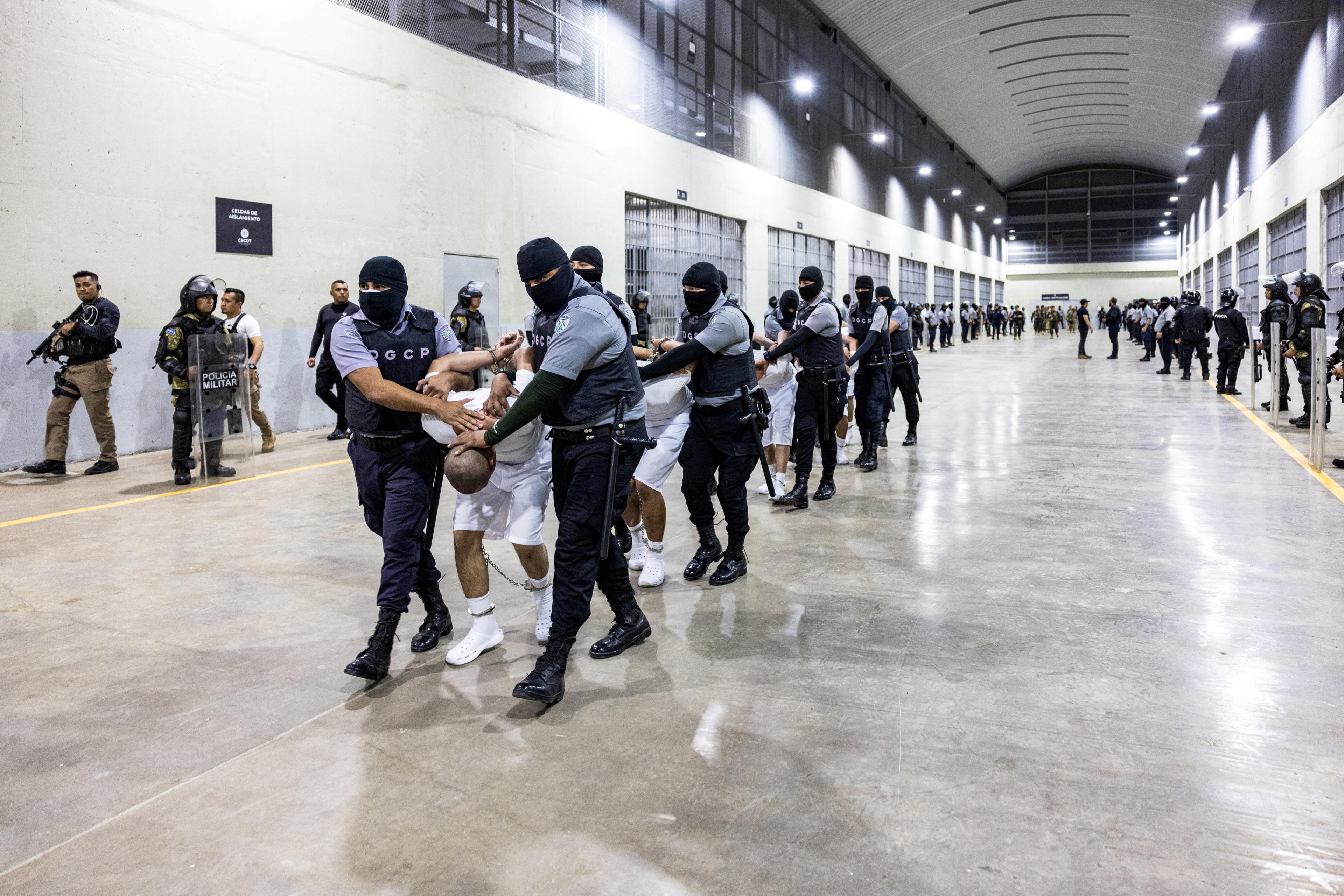 Salvadoran prison guards escort alleged members of the Venezuelan gang Tren de Aragua and the MS-13 gang recently deported by the U.S. government to be imprisoned in the Terrorism Confinement Center (CECOT) prison, in Tecoluca, El Salvador, on April 12, 2025. (Secretaria de Prensa de la Presidencia/Handout via REUTERS/File Photo)