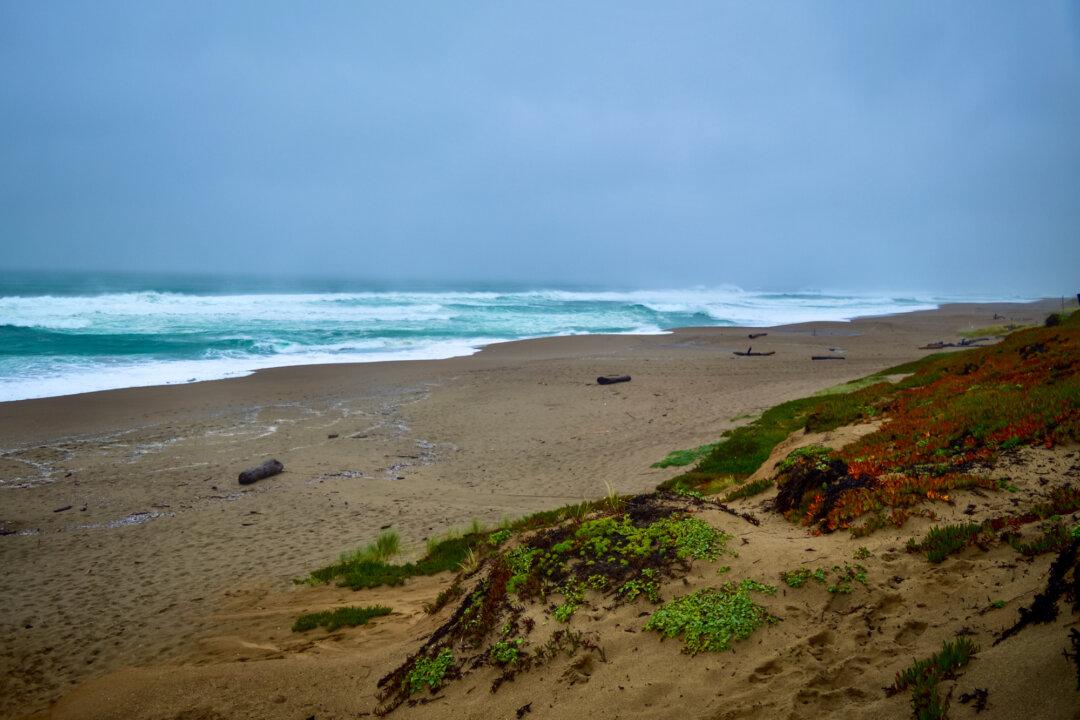 Point Reyes North Beach in Marin County, Calif., on March 16, 2025. (Keegan Billings/The Epoch Times)