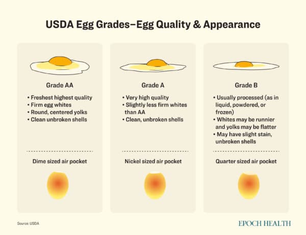 (Illustration by The Epoch Times, Shutterstock)