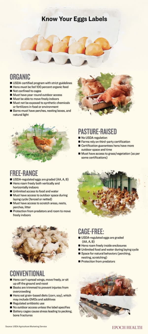 (Illustration by The Epoch Times, Shutterstock)