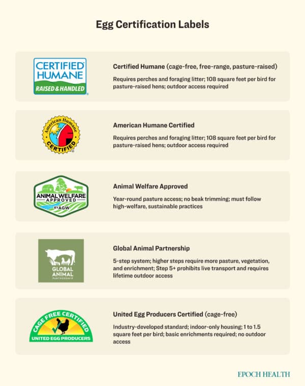 (Illustration by The Epoch Times, Shutterstock)