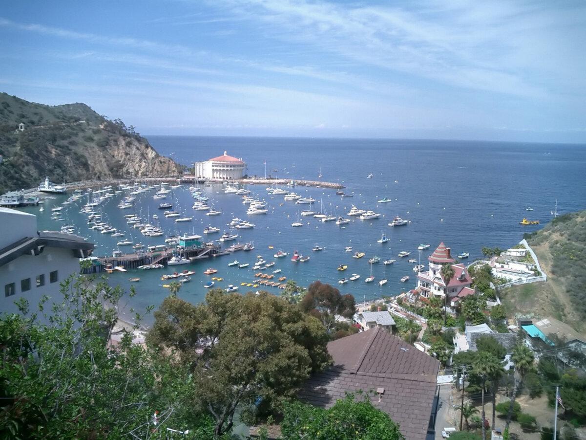 Aerial view of Catalina Harbor. (Dreamstime/TNS)
