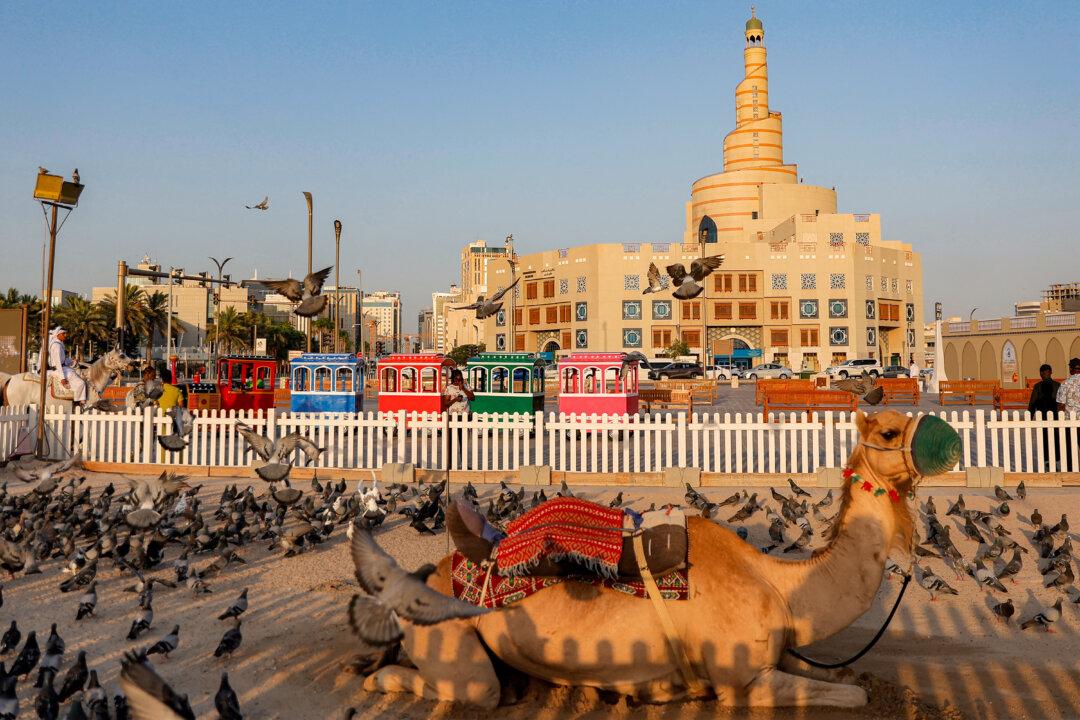 Pigeons hover around a camel at the Souq Waqif bazaar in Doha, Qatar, on June 12, 2025. (Karim Jaafar/AFP via Getty Images)