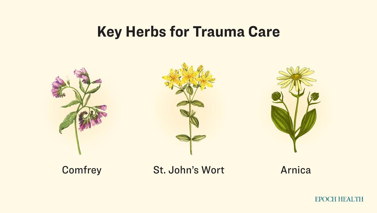 The "golden herbs" for trauma care. (The Epoch Times)