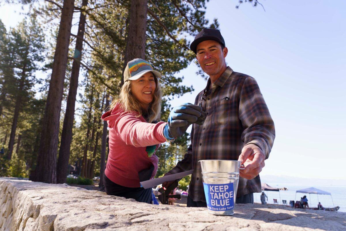 (League to Save Lake Tahoe)