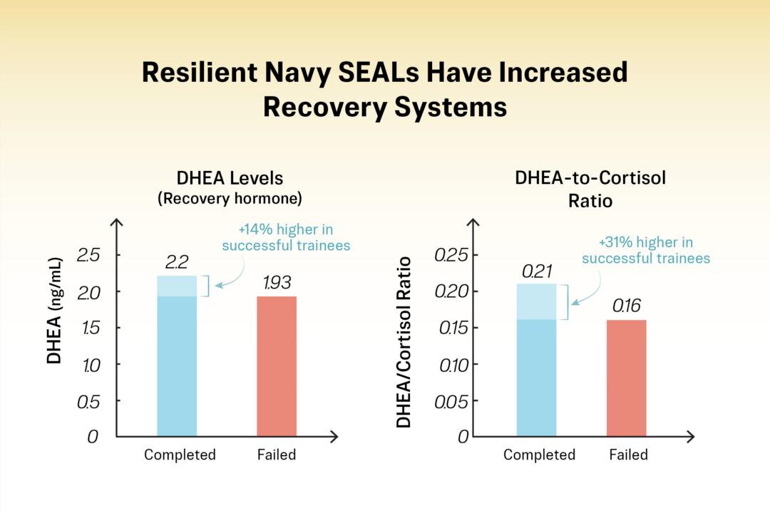 Illustration by The Epoch Times