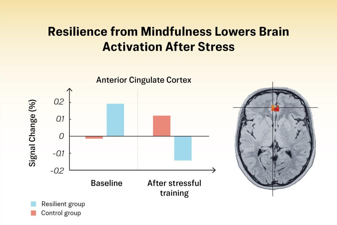 Illustration by The Epoch Times