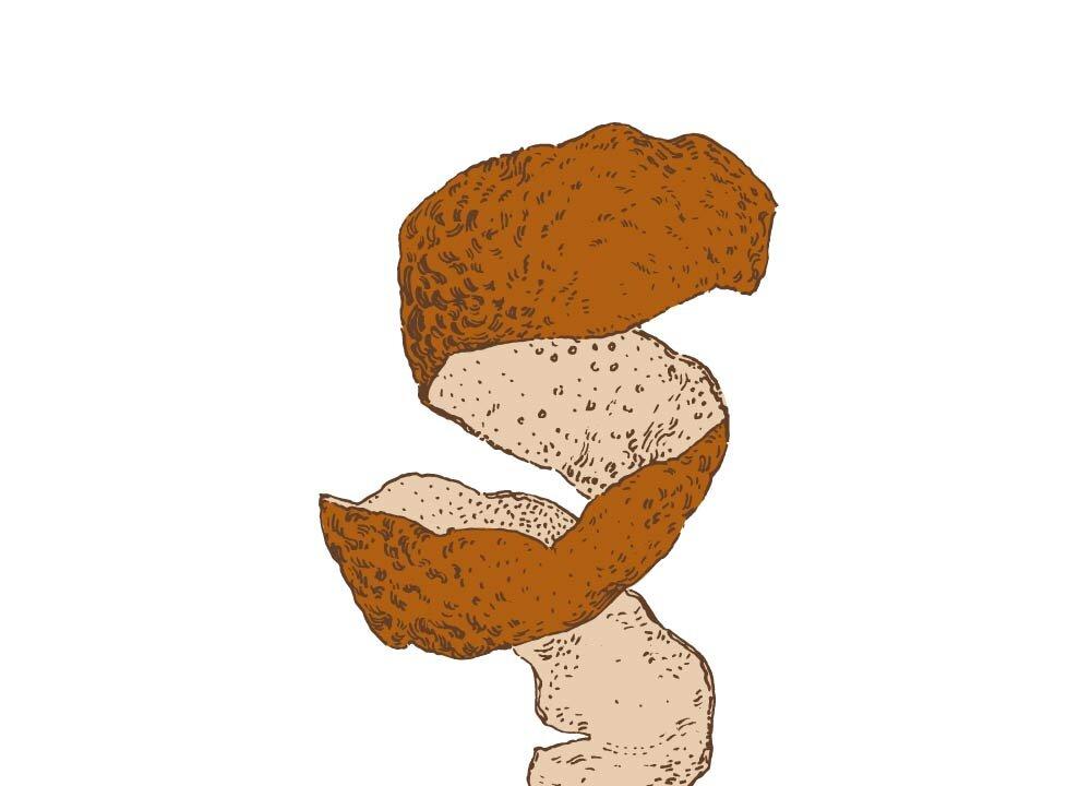 (Illustration by The Epoch Times, Shutterstock)