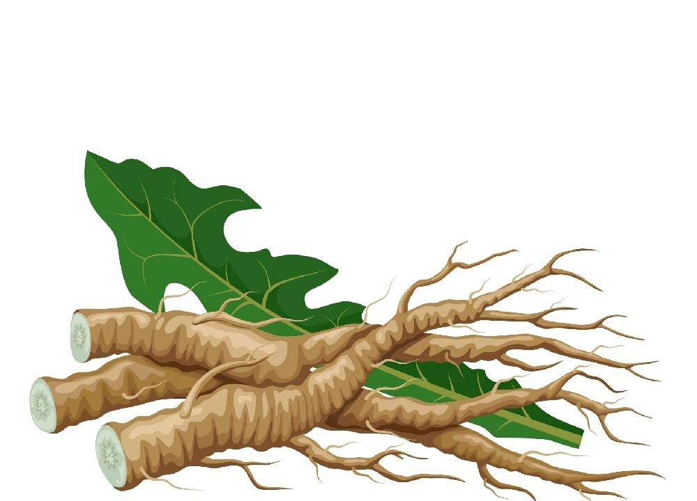 (Illustration by The Epoch Times, Shutterstock)