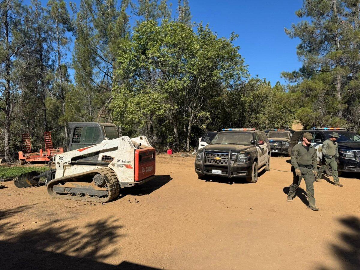 Deputies discovered an illegal marijuana growing site at a home in Ceres, Calif., on July 27, 2025. (Mariposa County Sheriff's Office)