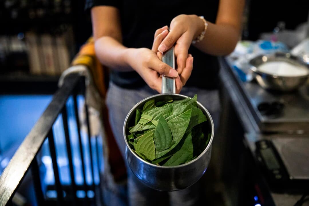 Staff members prepare leaves before making kratom tea in Bangkok on Oct. 17, 2021. The tea is made from the leaves of the Mitragyna speciosa tree, native to Southeast Asia. (Lauren DeCicca/Getty Images)