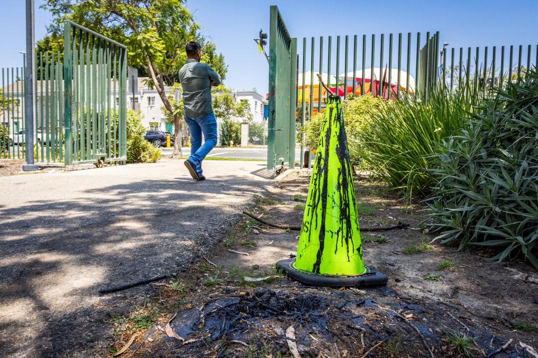 A tar seep from oil deposits is seen at the La Brea Tar Pits in Los Angeles on July 30, 2025. The site is one of the largest seepage sites in California and has the highest hydrocarbon gas emissions on record for any onshore seepage site in the United States, according to a 2017 research article. (John Fredricks/The Epoch Times)