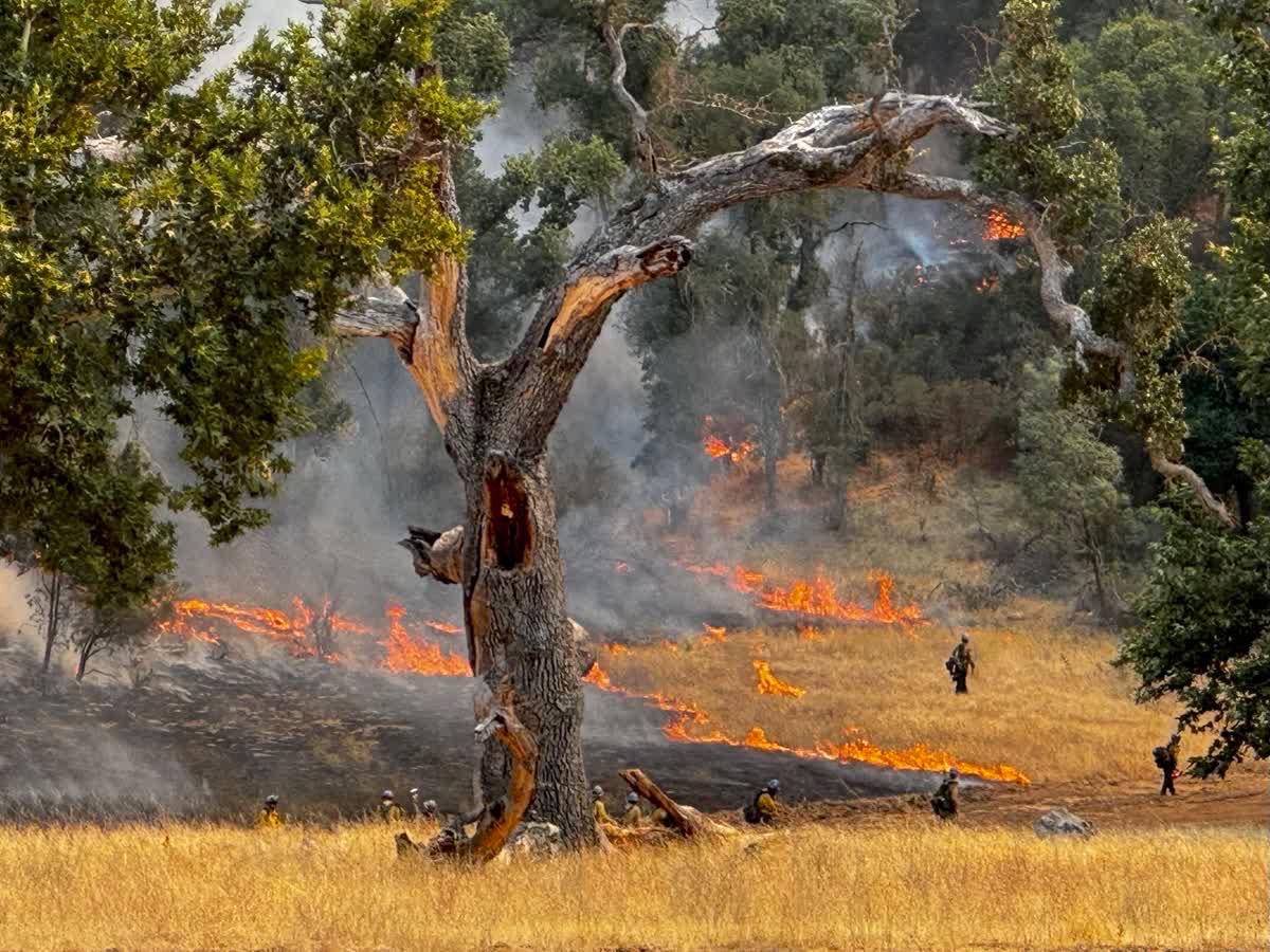 The Gifford Fire has destroyed four homes and injured seven people, including four civilians, according to the U.S. Forest Service. (U.S. Forest Service)
