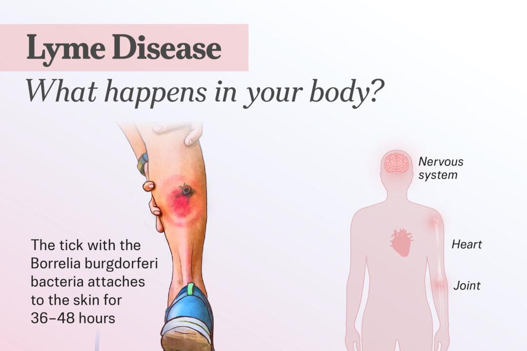 (Illustration by The Epoch Times, Shutterstock)