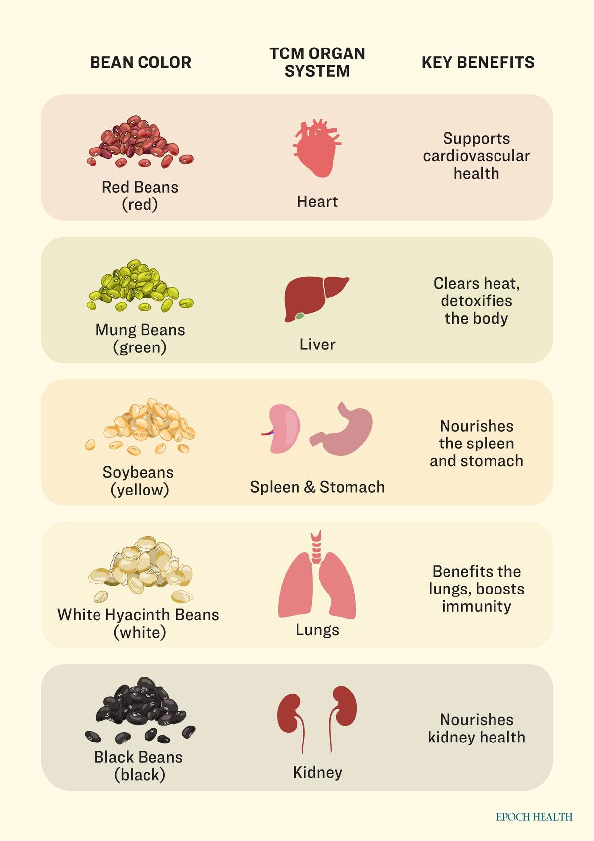 How five colored beans support organ health. (Illustration by The Epoch Times)