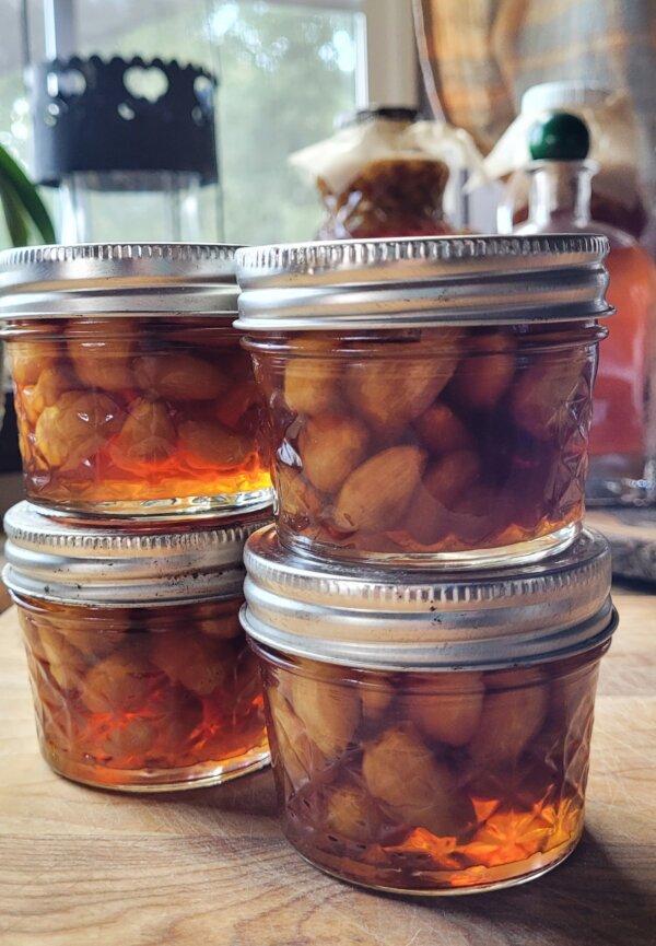 Aged honey-fermented garlic. (Courtesy of Alexandra Roach at Holistic-Ways)