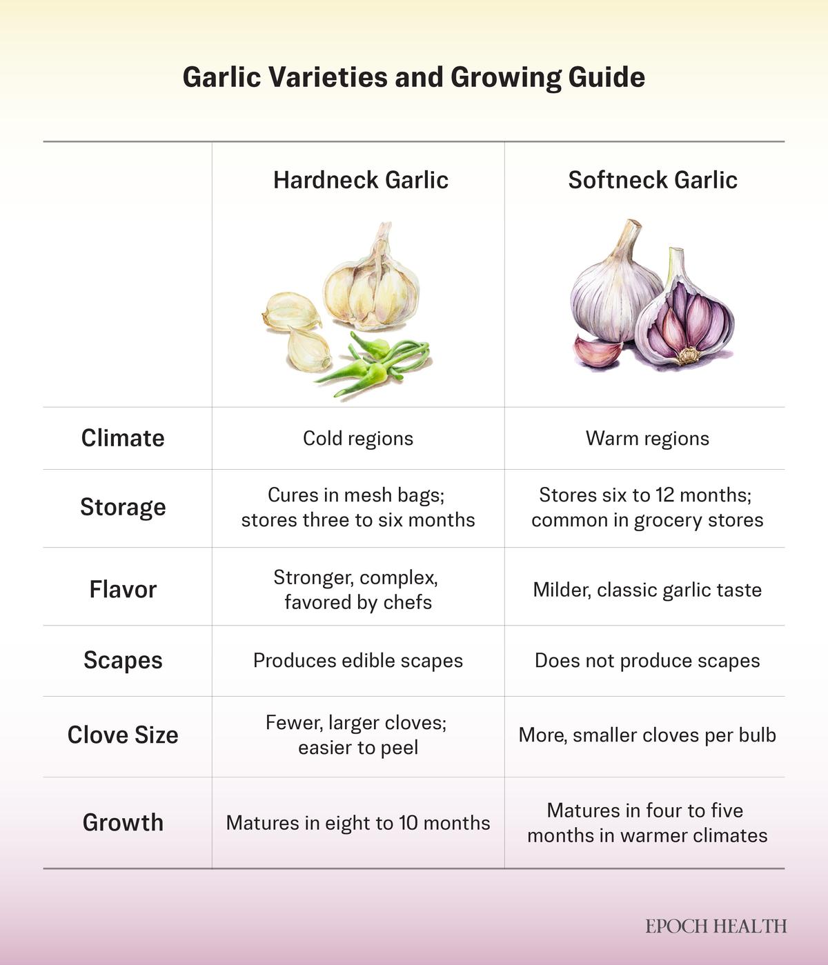 (Illustration by The Epoch Times, Shutterstock)