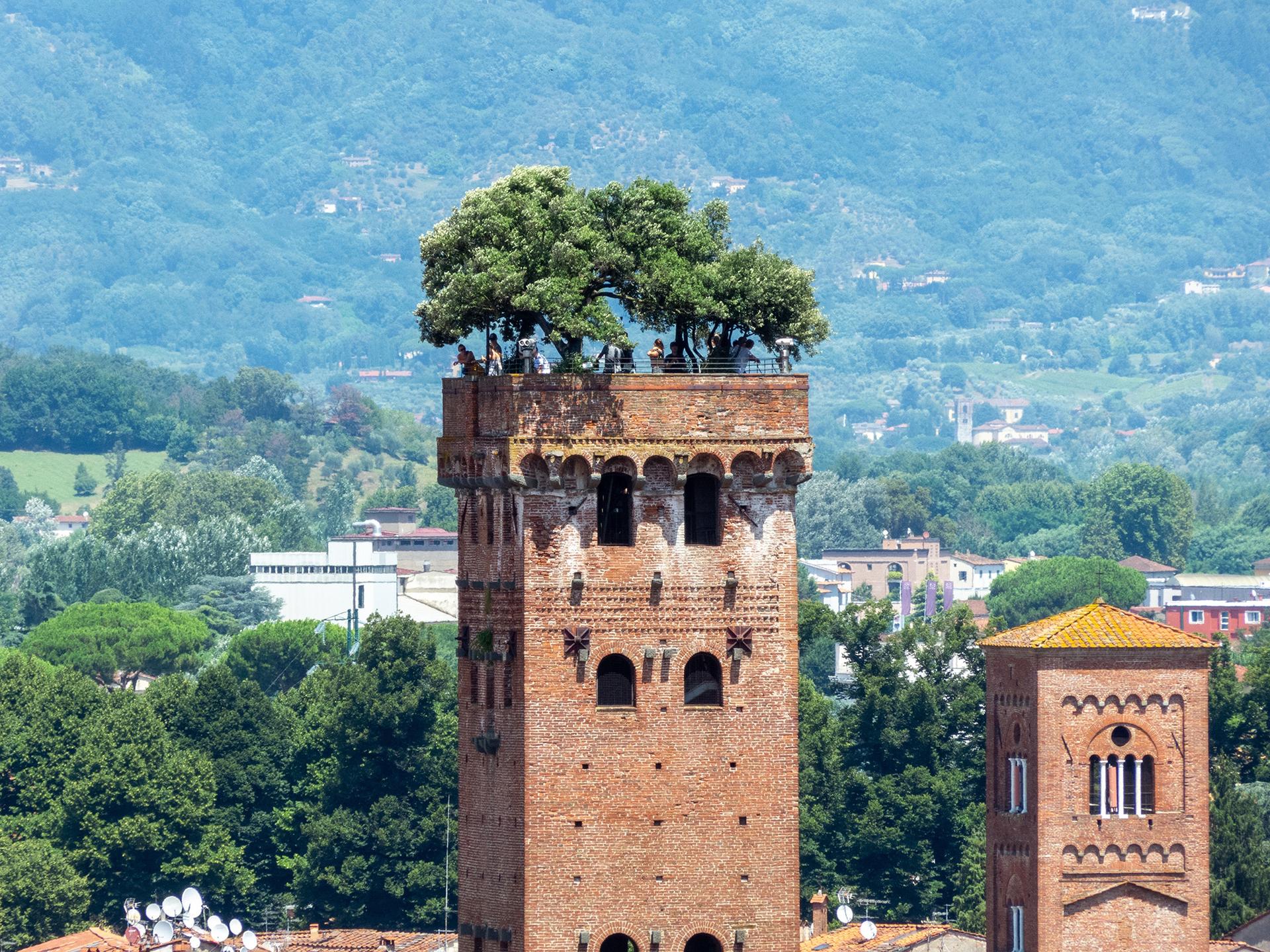 One of Lucca's few remaining towers, Guinigi Tower, was built in the latter half of the 14th century. Holm oaks were planted at its summit to represent rebirth and renewal. (Animaflora PicsStock/Shutterstock)