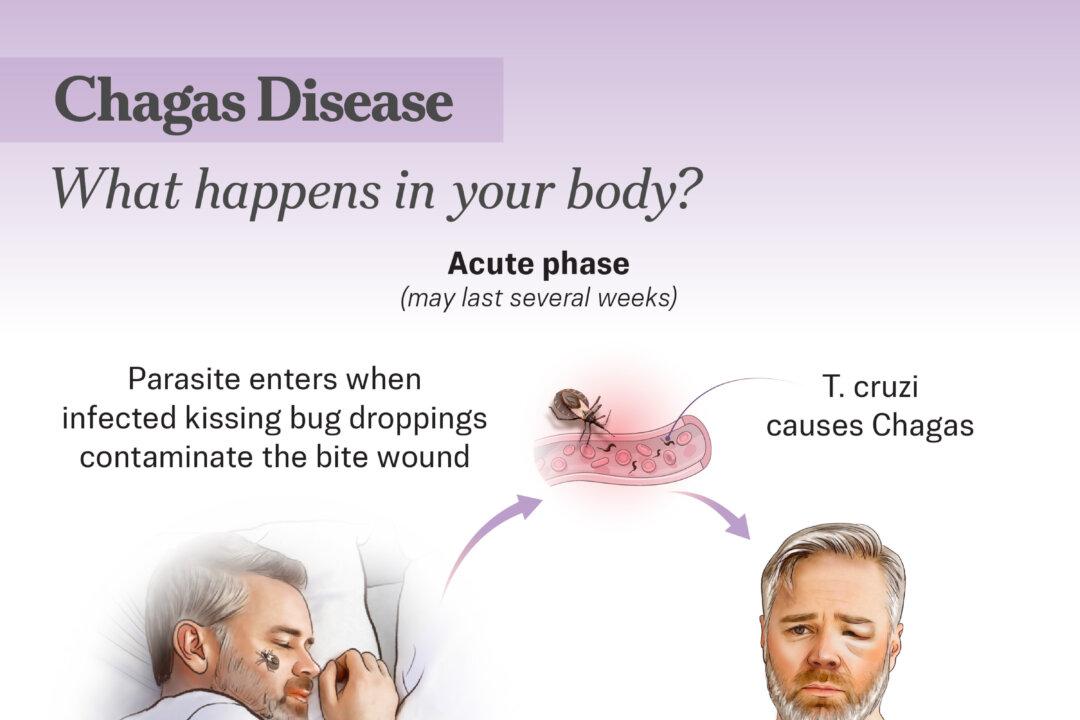 (Illustration by The Epoch Times, Shutterstock)