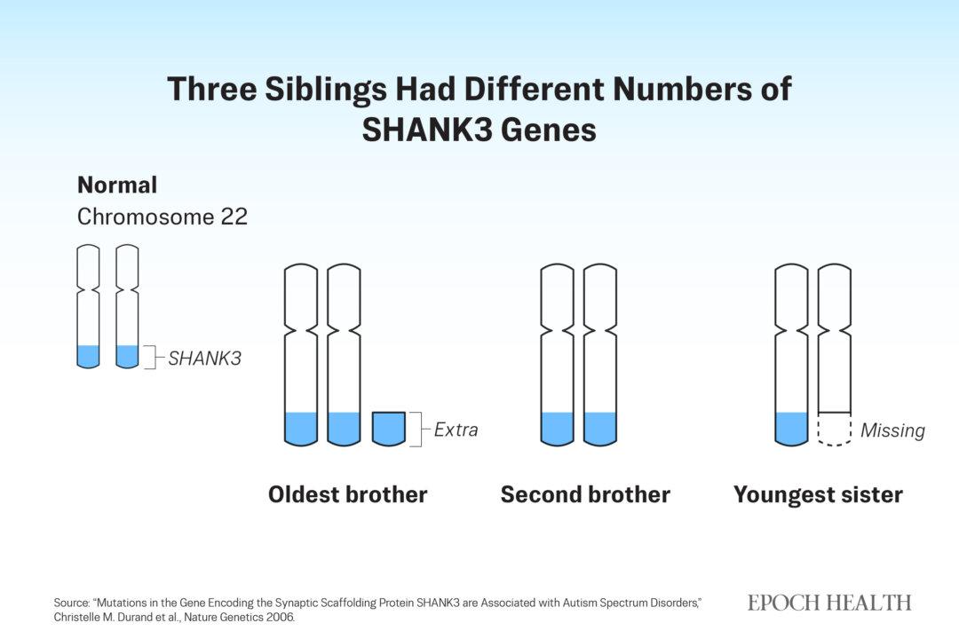 Three siblings had different amounts of genetic material on chromosome 22. (The Epoch Times)